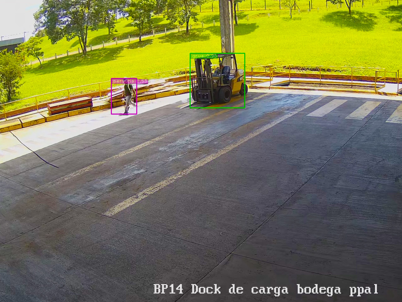 ARAUCO ARG-03